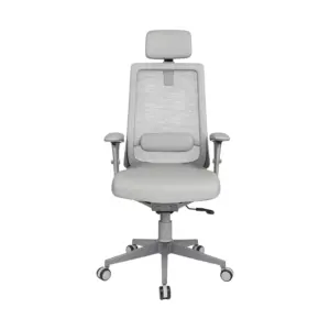 Draven Ergonomic Comfortable Office Chair