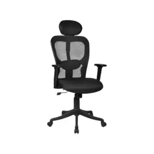 Fragile Ergonomic Office Desk Chair