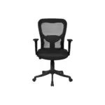 Fragile Office Lb Chair (2)