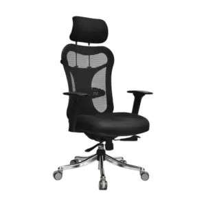 ObsidianElite Ergonomic Best Chair For Office