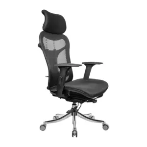 ObsidianFlex Ergonomic Chair For Office