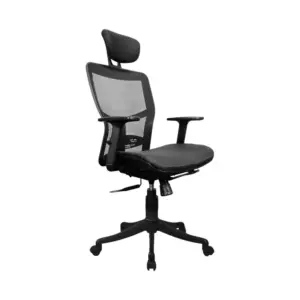 Reckon Ergonomic Chair For Office
