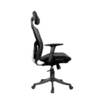 Reckon Office Chair Mesh Blk (4)