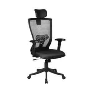 Sanctum Ergonomic Comfortable Chair