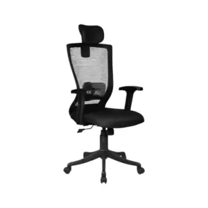 Scholar Office Computer Chair Ergonomic