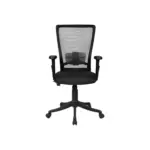 Scholar Office Lb Chair Blk (2)