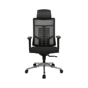 TitanCurve Ergonomic Computer Chair