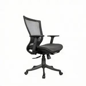 Whispers Office Computer Chair (Mesh)
