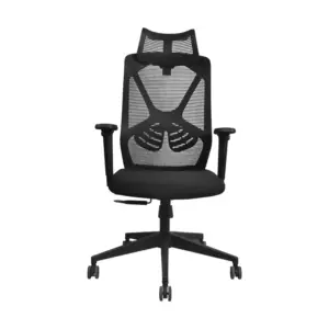 Zayden Ergonomic Computer Chair For Office