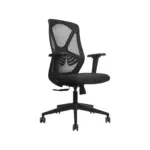 Zayden Office Chair lb Blk (1)