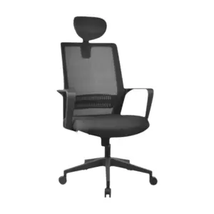 EclipseEdge Ergo Chair For Office 