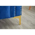 Heidel Luxury Sofa (Set of 2) Blu (8)