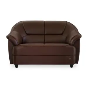 Dwellounch Sofa Modern Design Luxury 2 Seater