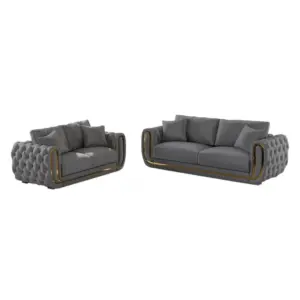 Parvon Luxurious Sofa Set Of 2