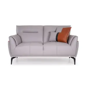 Livifymine Modern Sofa 2 Seater Luxury Couch