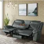 Pavo Grey (1)