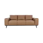 Favenzo Sofa LXY (3)
