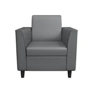 Nolric Single Seater Sofa 28.9"