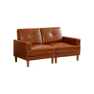 Zyford 2 Seater Couch 66"