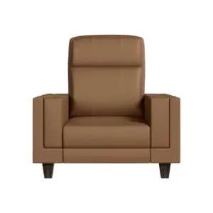 Cazento Luxury Single Seater Couch 37"