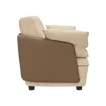 Elqora Sofa LXY (6)