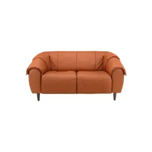 Favio Luxury Sofa 2 Seater 66"