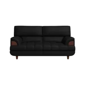 Sylora Sofas Luxury 2 Seater Couch 62"